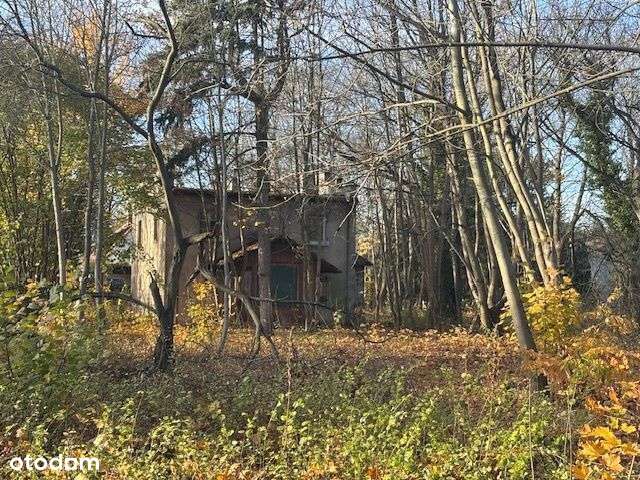 Dom przedwojenny w Puszczykowie-4