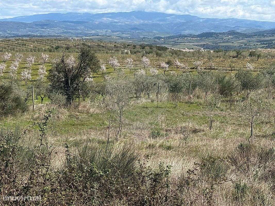 Terreno  para venda - Grande imagem: 3/6