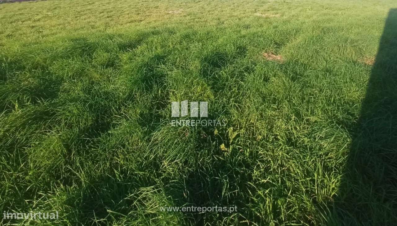 Venda de Terreno, Amorim, Póvoa de Varzim - Grande imagem: 3/21