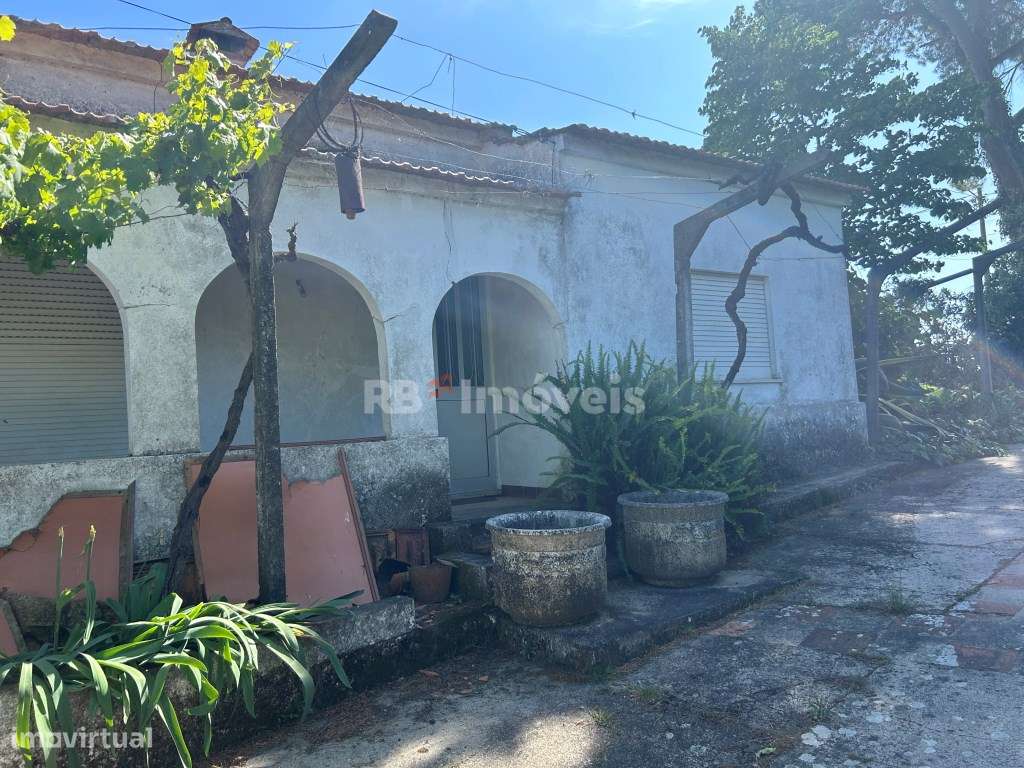 Quintinha nas Calçadas - Tomar - Grande imagem: 5/45