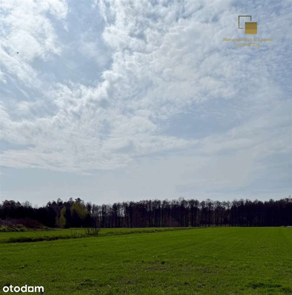 Prawie pół hektara w zielonej części Stanowic