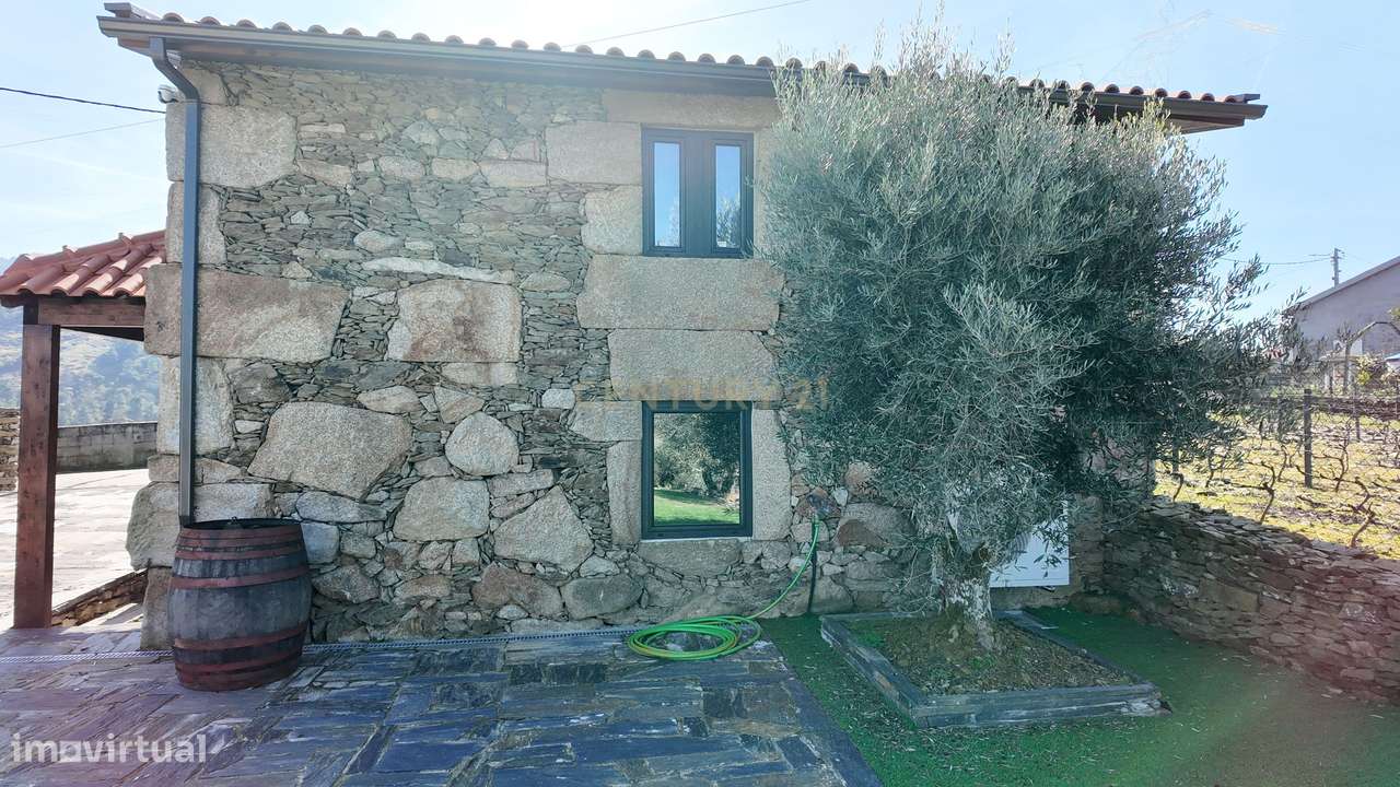 Quinta no Alto Douro Vinhateiro com Projeto Turístico Aprovado-12