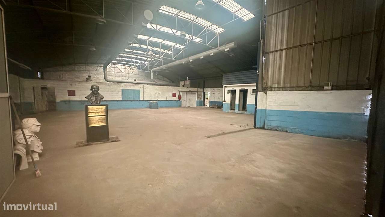 Armazém, Industria em Oliveira do Douro-28