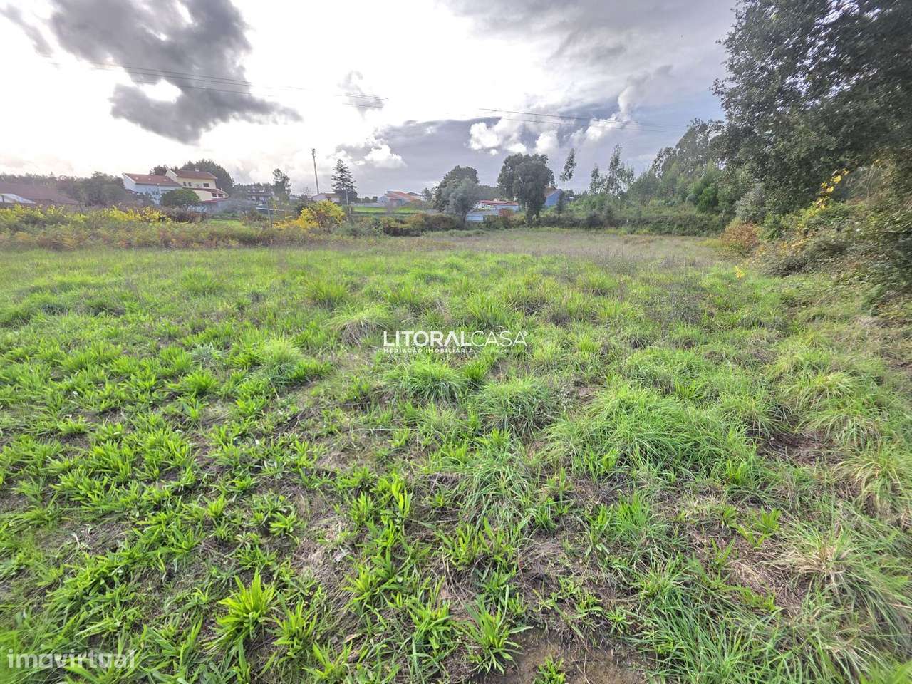 Terreno Agrícola - Eixo-11
