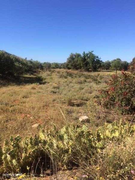 Terreno rustico para venda - A22 - Via Infante - Grande imagem: 4/7