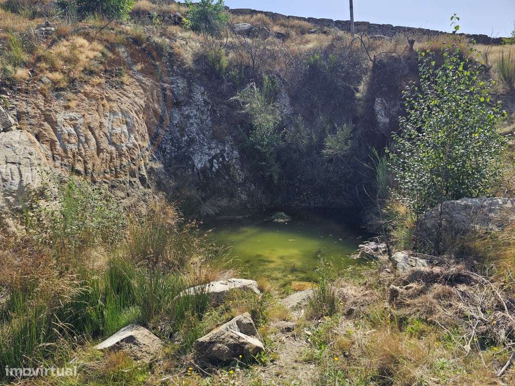 Terreno com 14.757 m², nascente de água e construção existente em J...-19