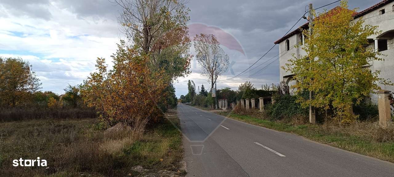 Teren 2,056mp Ciolpani - Imagine principală: 5/11