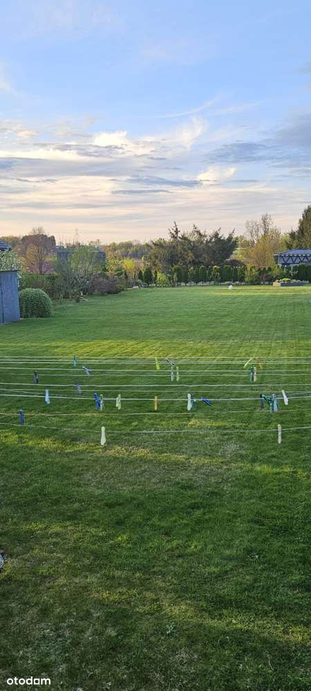 Działka budowlana  w Skrzydlicach - Pełny obrazek: 4/8