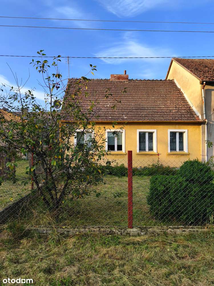 Dom bliźniak z użytkowym poddaszem w lesie