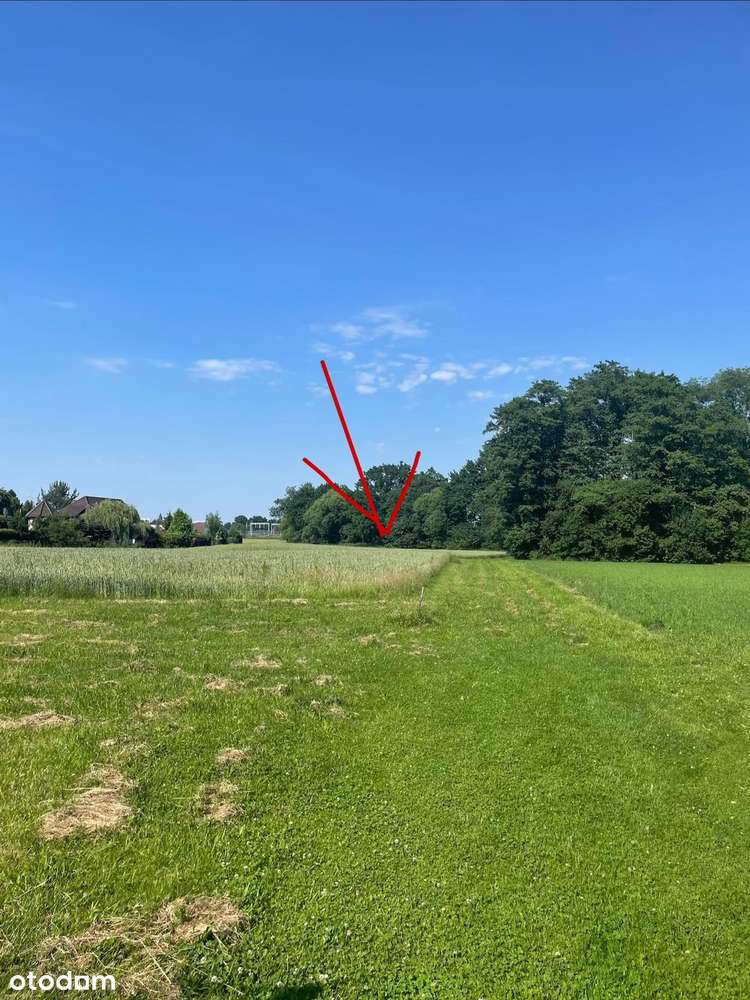 Działka budowlana 1490 m² | Zabrzeg | ul. Iłownick-4