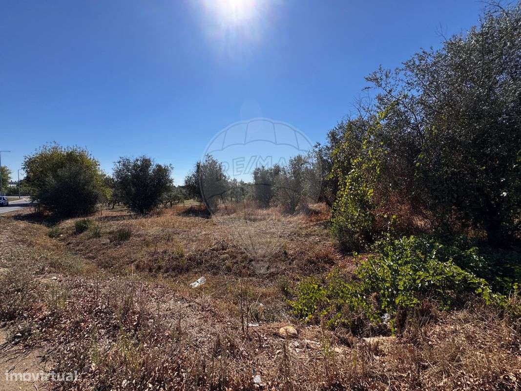 Terreno  para venda - Grande imagem: 4/6