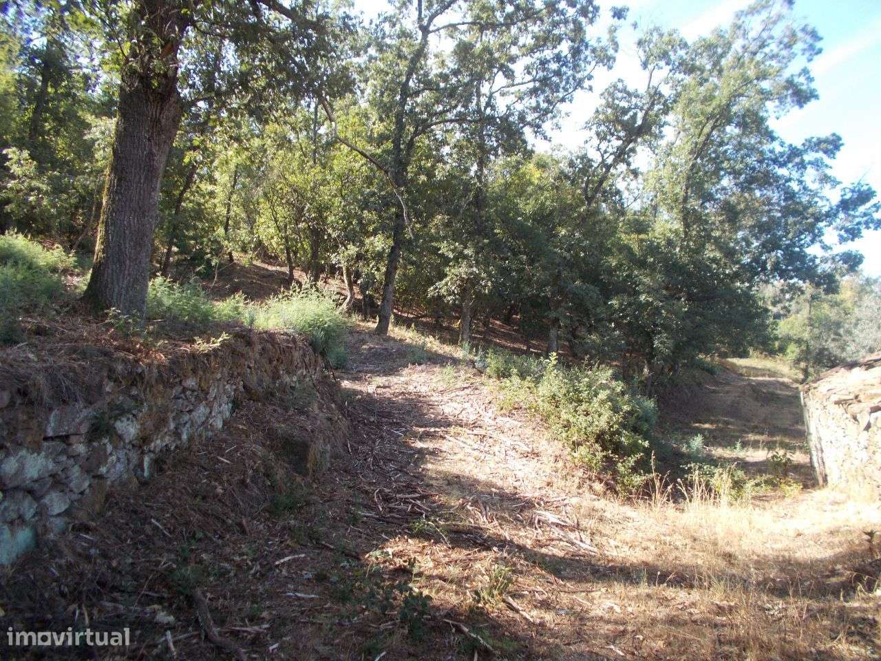 Chaves Quinta Vista Panorâmica-20