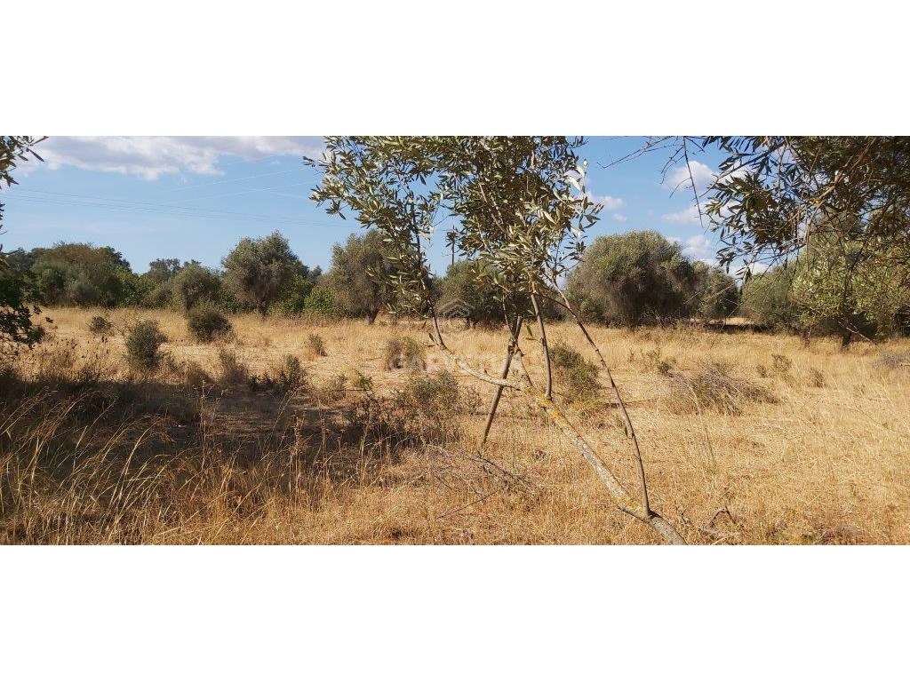 Terreno rústico, em zona agrícola, Amoreira, Paderne, Albufeira, Al... - Grande imagem: 2/18