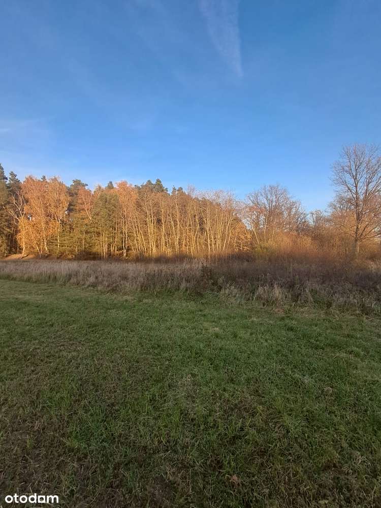 Działka budowlana z warunkami o pow. 1400m2, Dzierzbin – gm. Mycielin-1