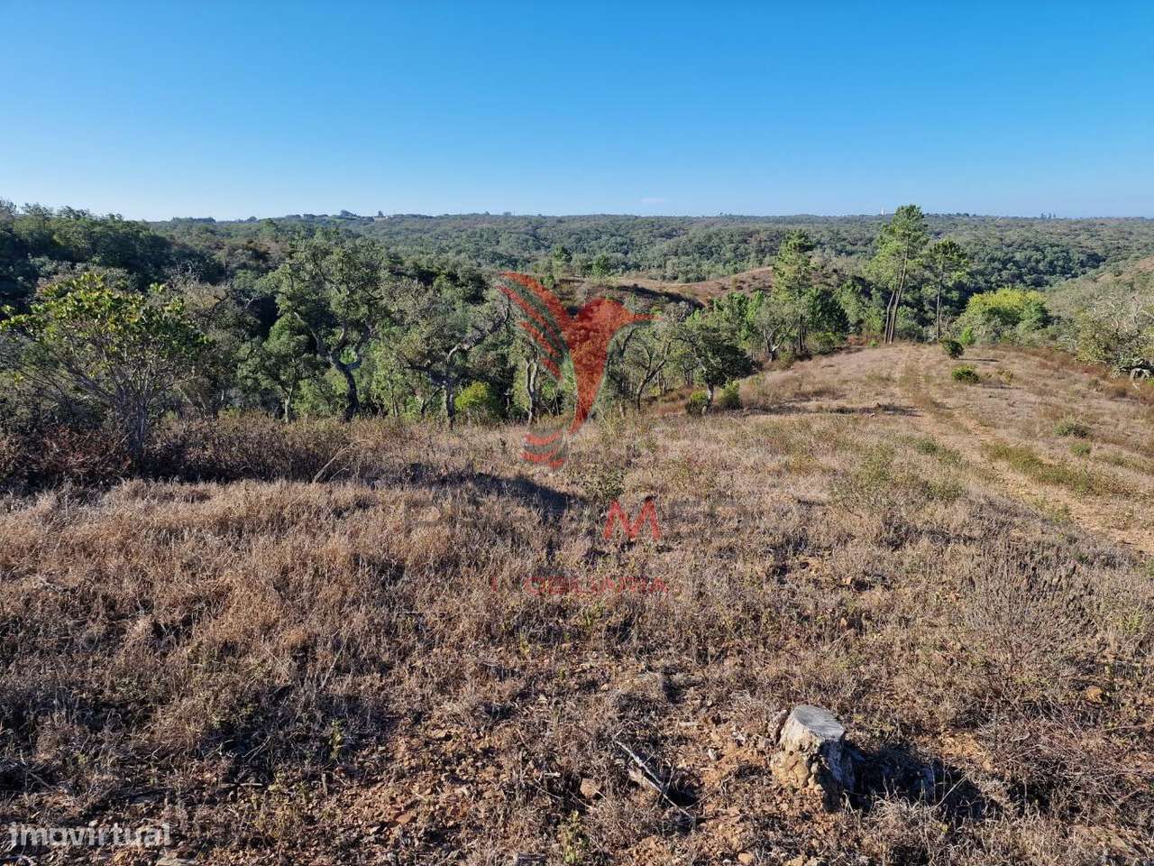 Monte Outeiros dos Mestres em Santiago do Cacém - Grande imagem: 5/40
