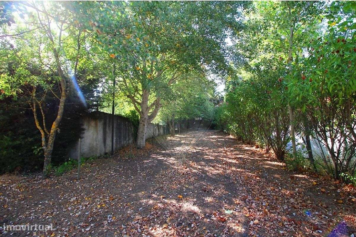 Palacete T10 para venda-5