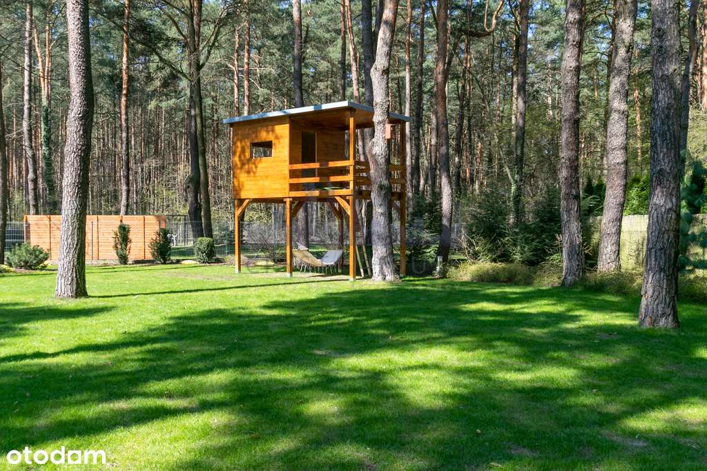 Dom w otoczeniu lasu - miejsce na fitnes/kino/spa - Pełny obrazek: 5/20