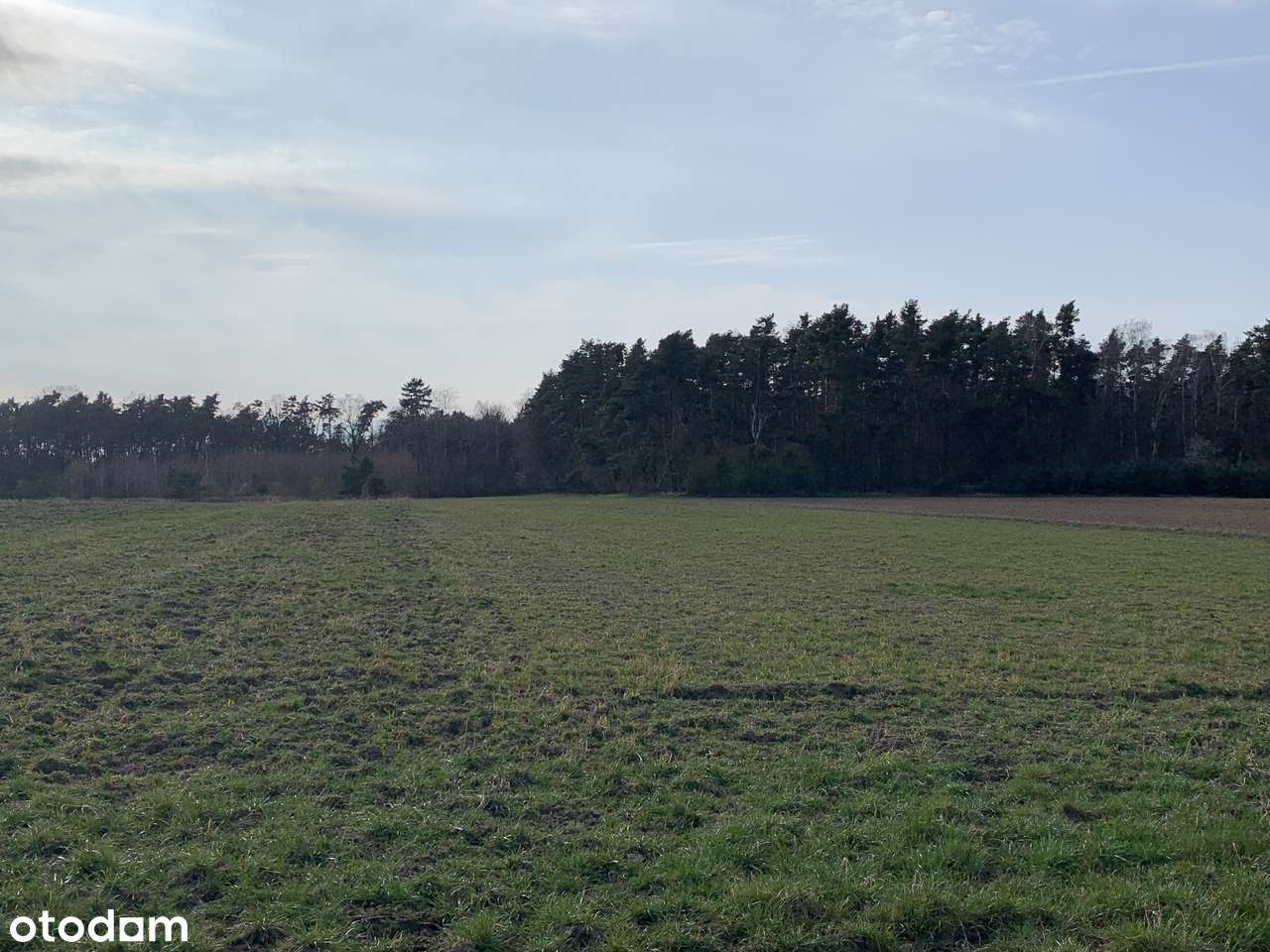 Działki rolne w Pątnowie Legnickim-6