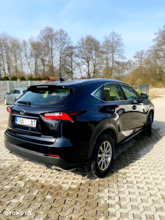 Lexus NX - 14