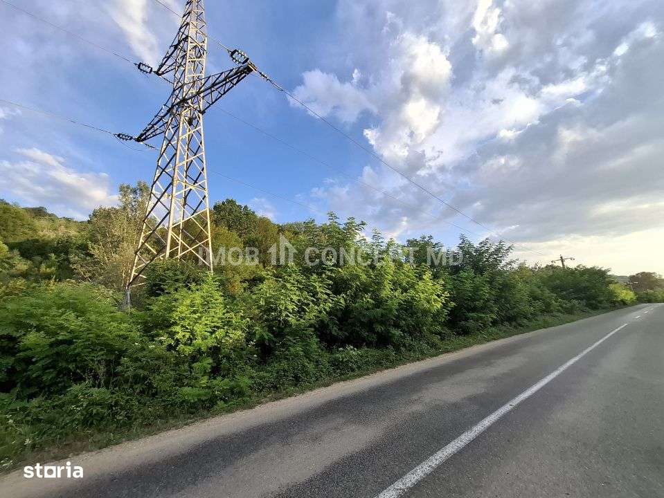 Teren spectaculos cu padure, livada si priveliste panoramica in Soimar-4