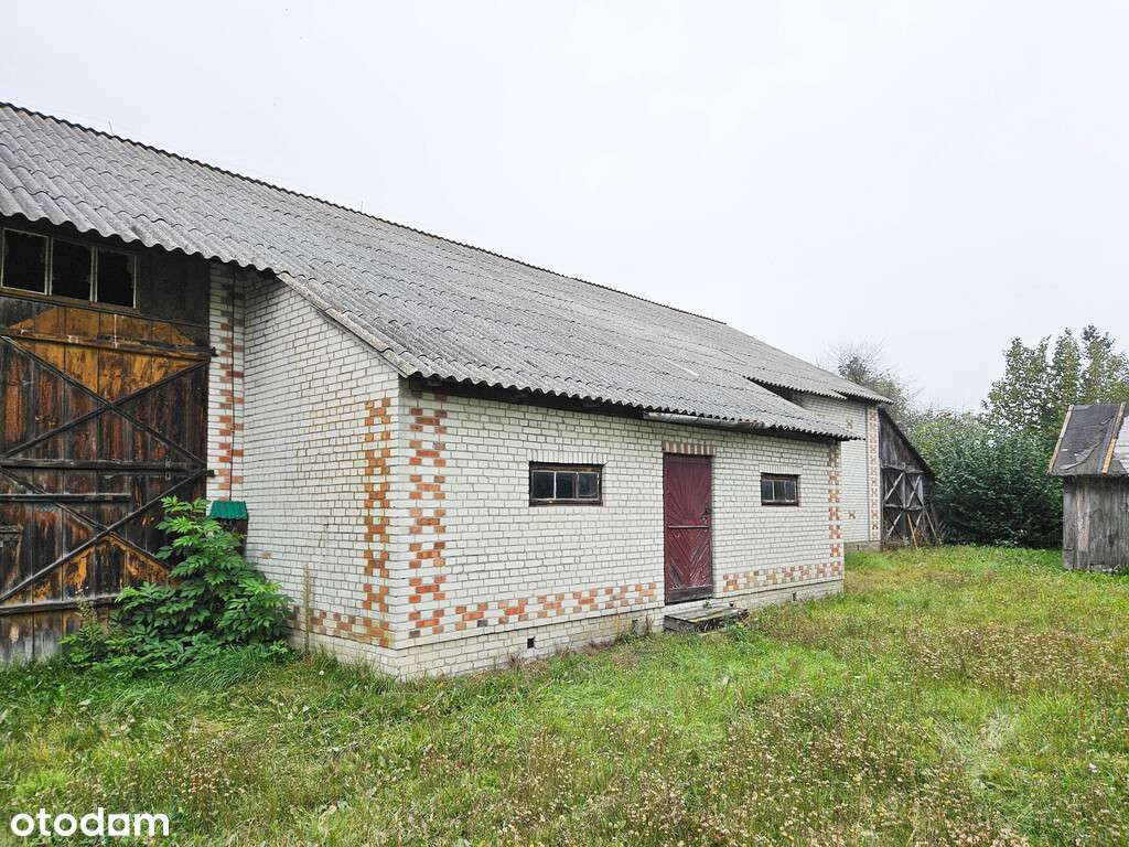 Malownicze Siedlisko, rzeka, las, Zalew Nielisz-17