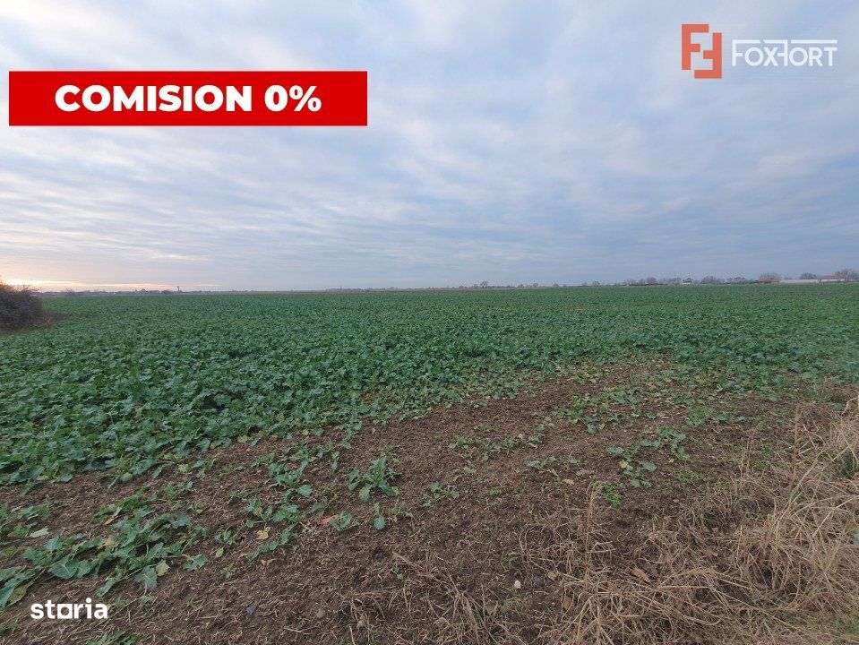 COMISION 0% Teren extravilan 20.000 mp la sosea in Sag - Imagine principală: 1/6