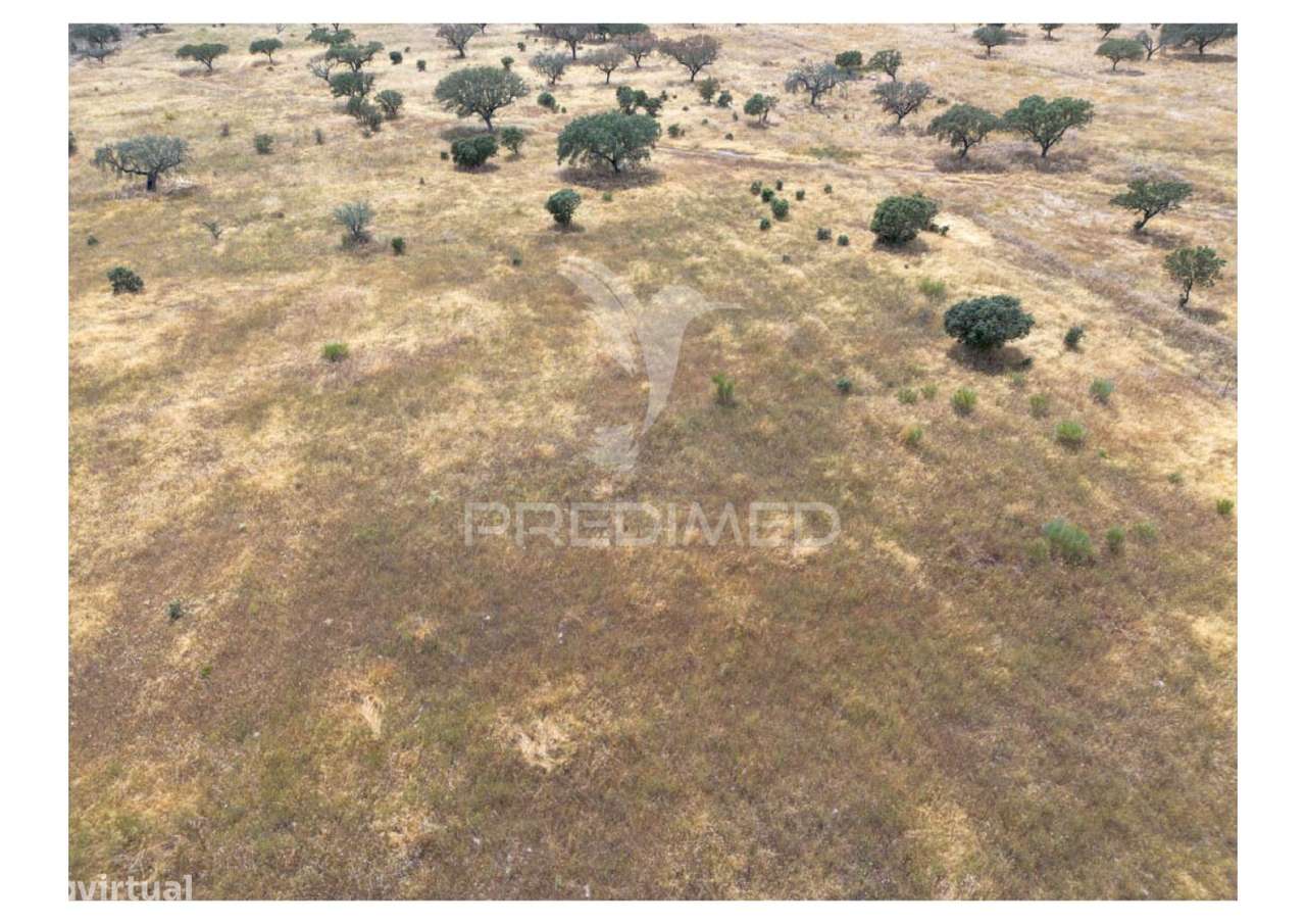 Terreno Rústico de 10,95 Hectares à Venda –Monte Juntos , Freguesia... - Grande imagem: 3/21