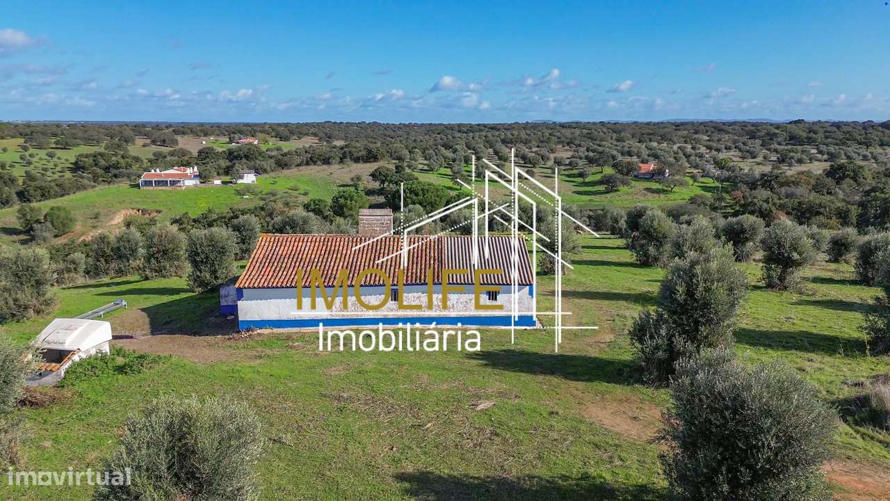 Monte Courela da Boavista - Tesas - Malarranha-58