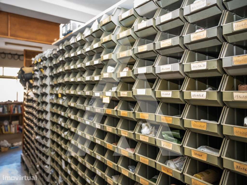 Trespasse em Albergaria-a-Velha-10