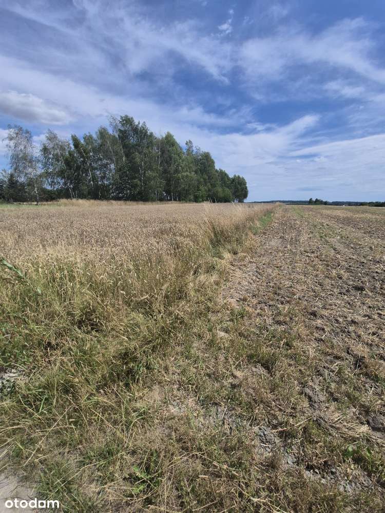 Działka, 5 500 m², Toszek-3