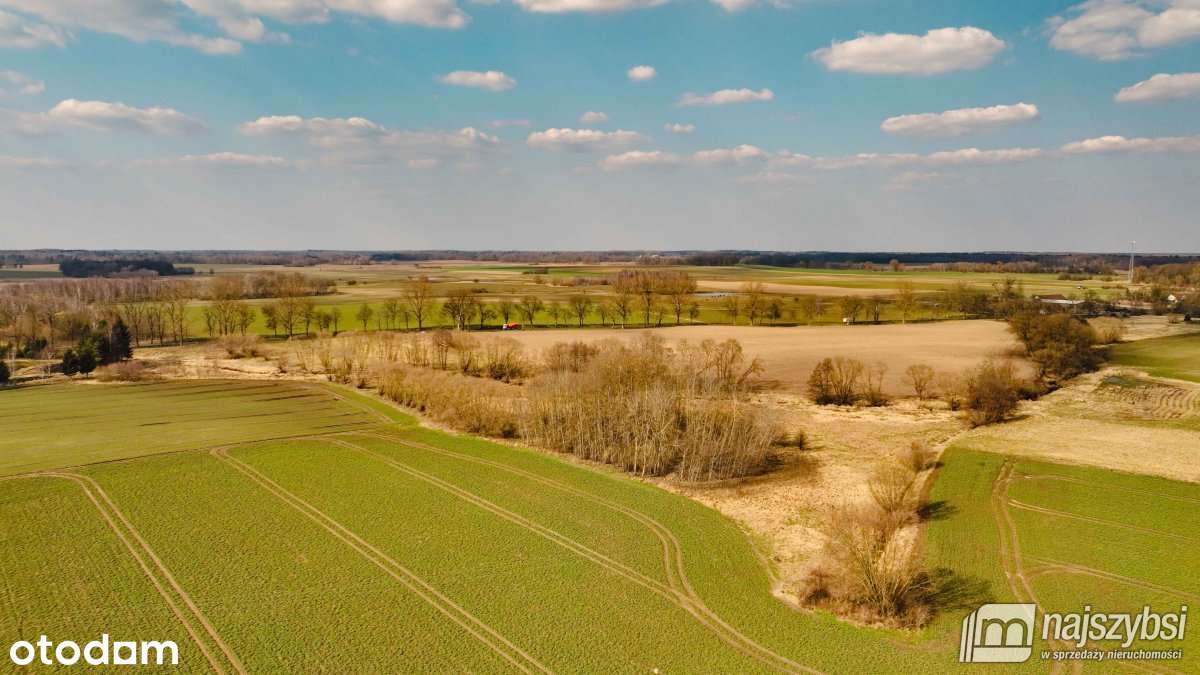Maszewo-Jenikowo działka 2 ha - Vista 3