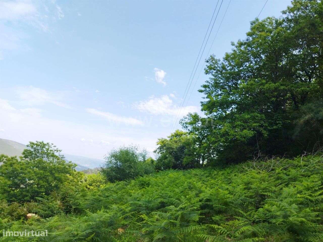 Terreno / Baião, Teixeira e Teixeiró - Grande imagem: 3/4