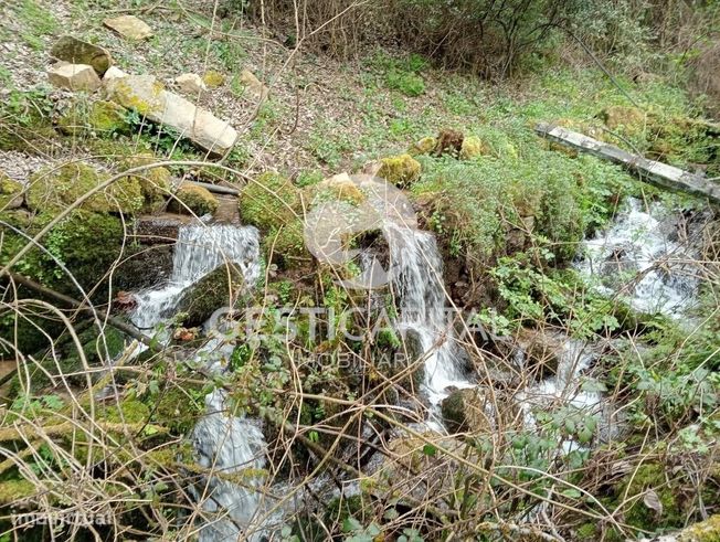 Oportunidade Única: Quinta para Habitação, Turismo ou Agricultura em M-22