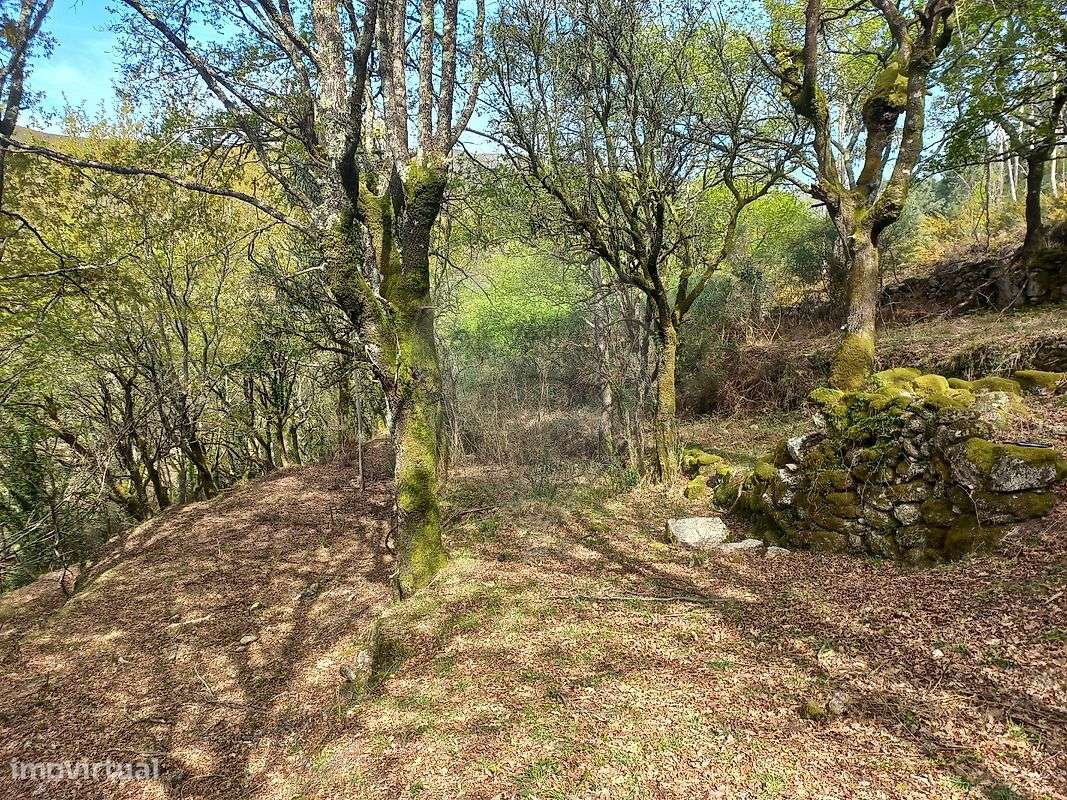 Terreno para venda - Vista 5