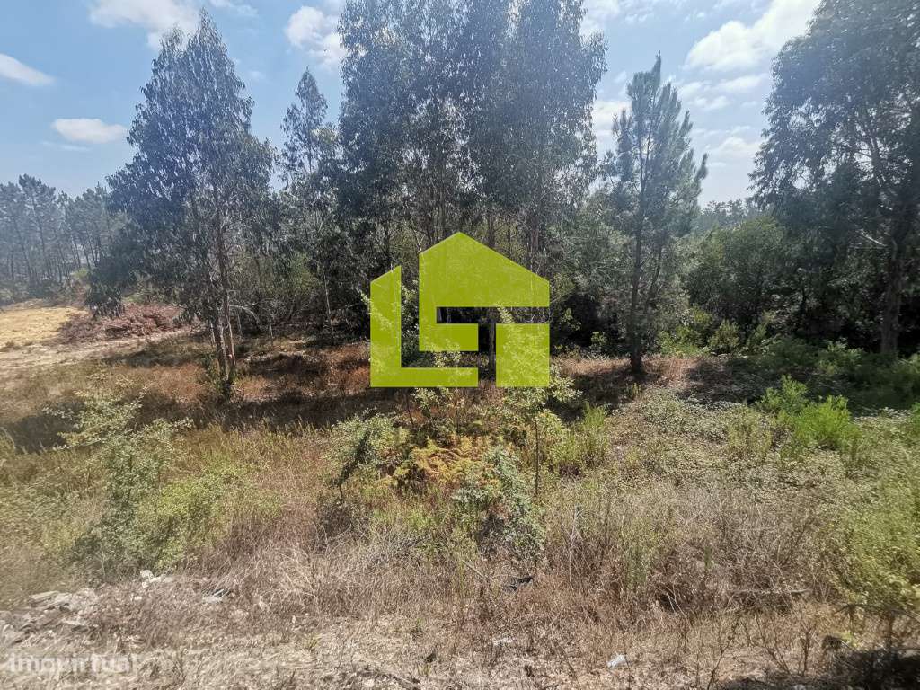 Terreno Urbano - Grande imagem: 2/12