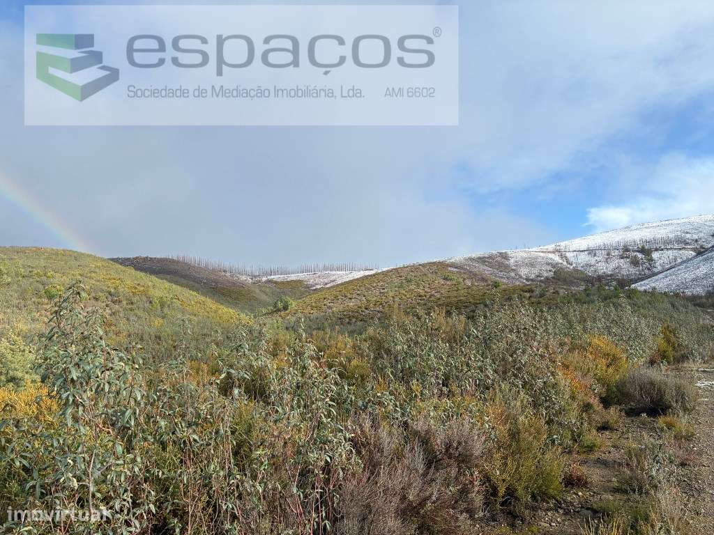 Magnifico Terreno - Grande imagem: 3/19