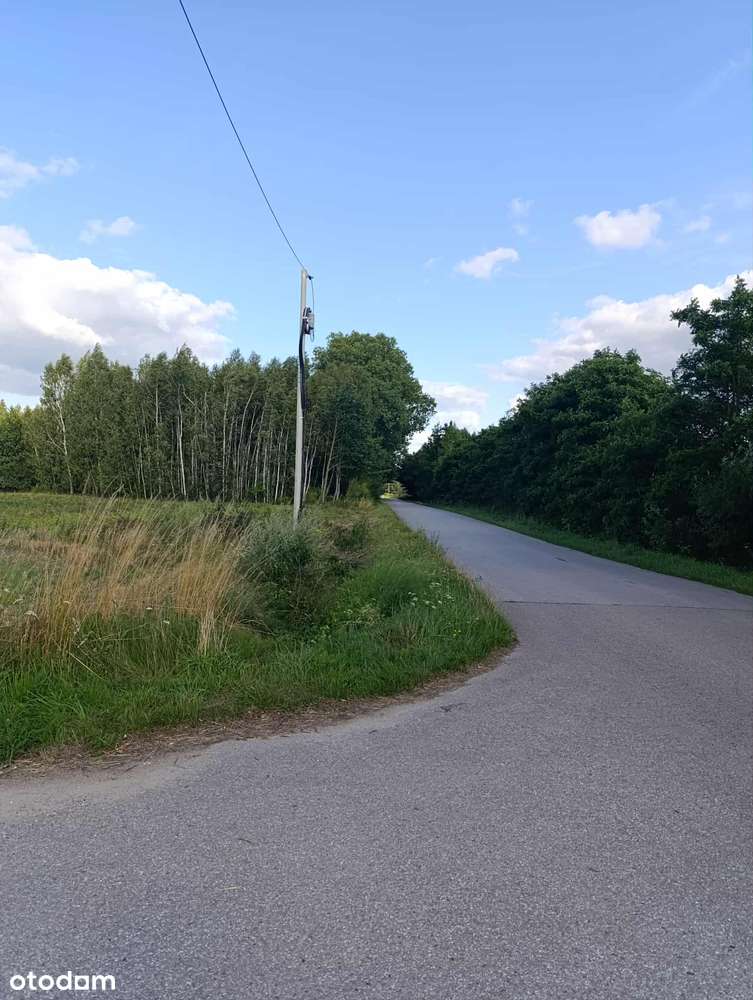 1,74 ha w Żerdzi – miejsce do życia i uprawy | Prywatny Las | Cisza - Pełny obrazek: 5/5