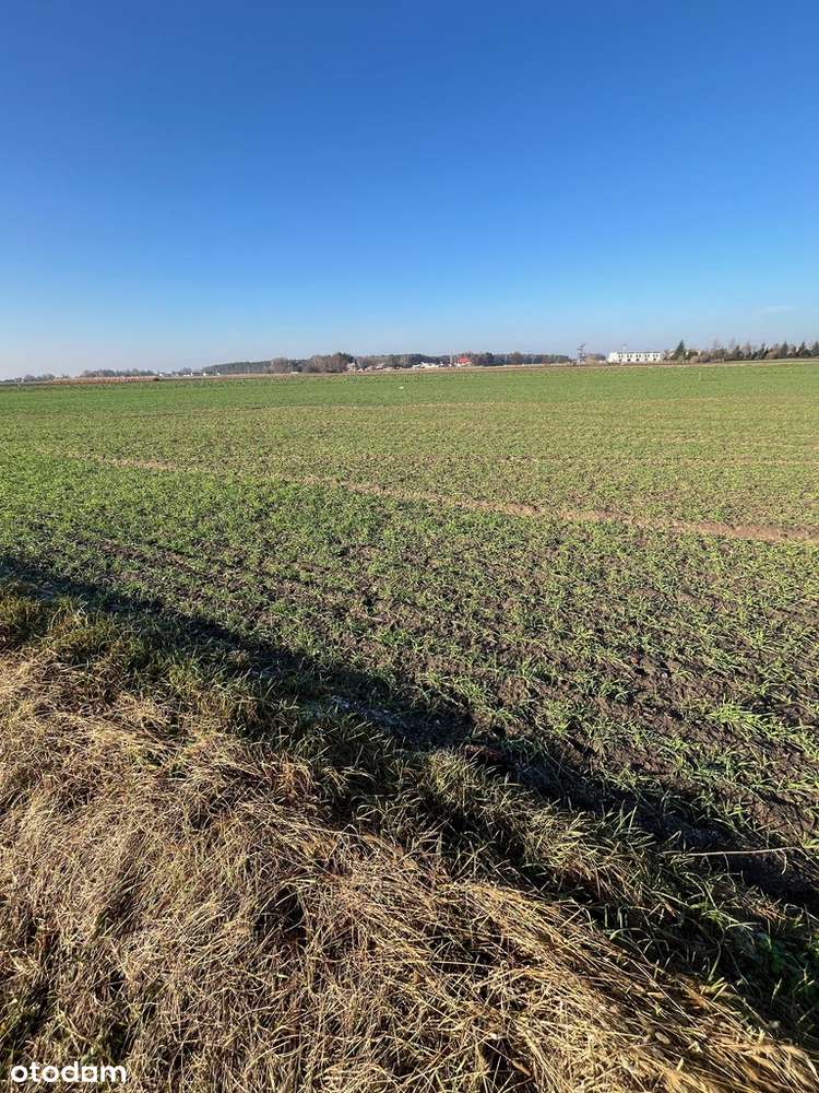 działki przeznaczone pod zabudowę jednorodzinną - Pełny obrazek: 5/7