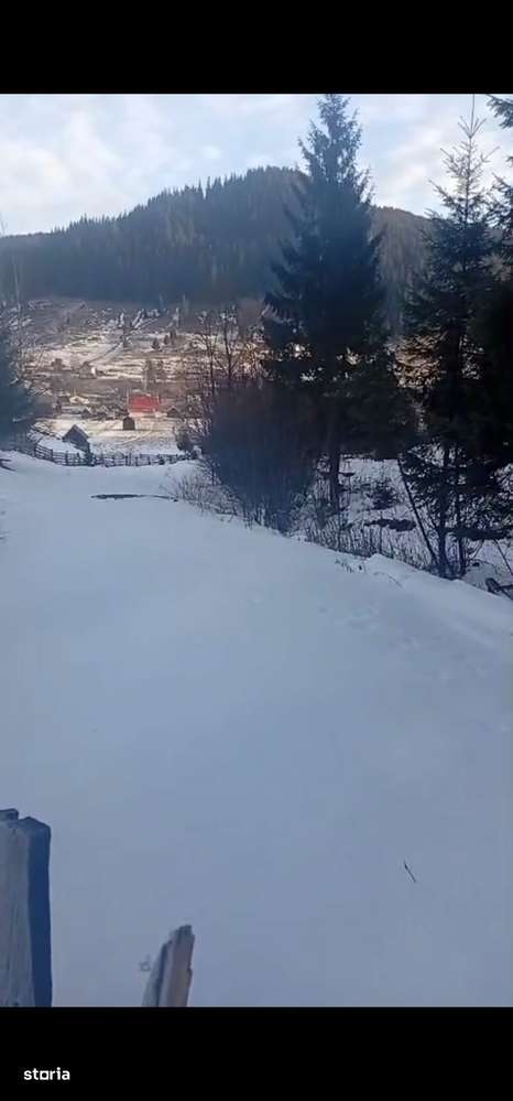 Teren langa padure 8179 mp , cu izvoare de munte-3