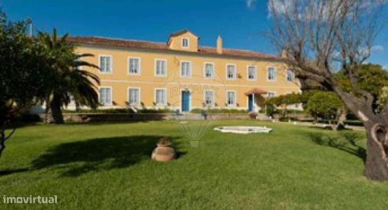 Quinta T21 para venda-28