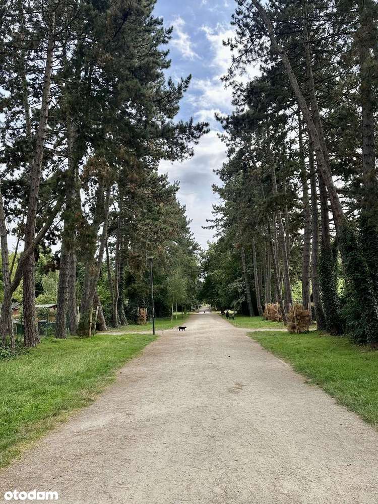 Osiedle Ogród, cisza, spokój i zieleń, Wysoki Standard !!-12