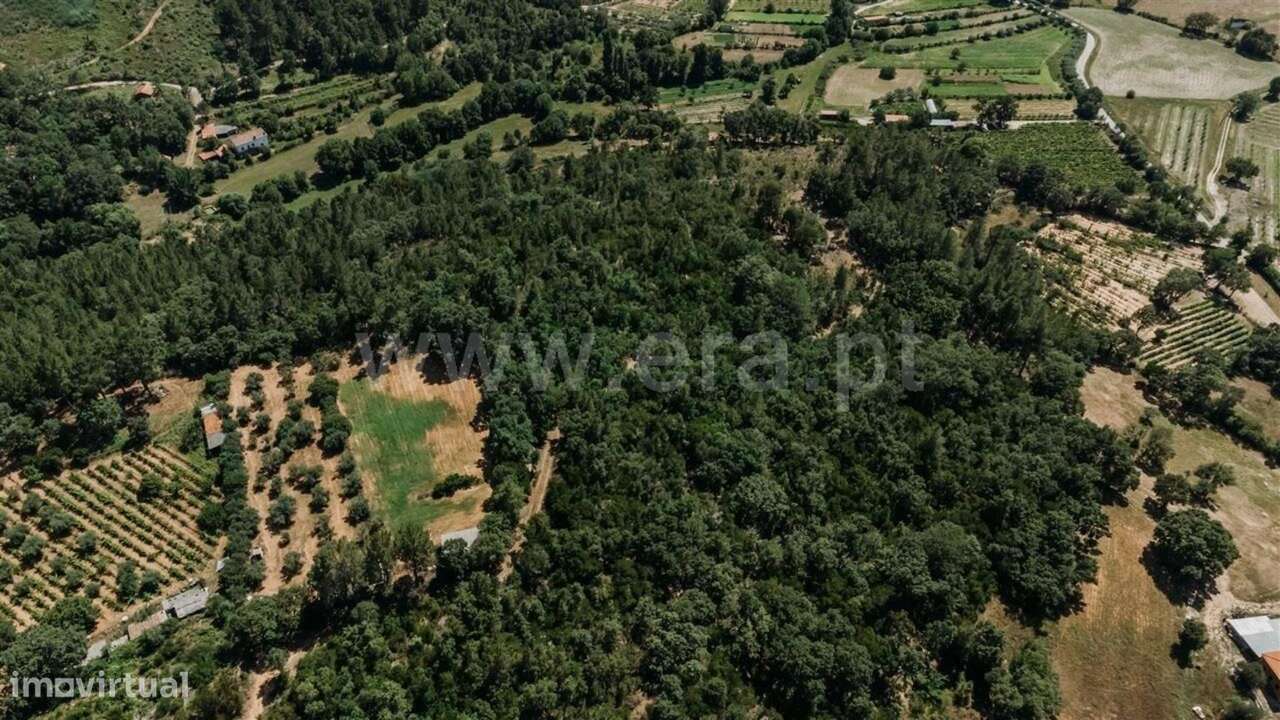Terreno Rústico / Fundão, Fatela-5