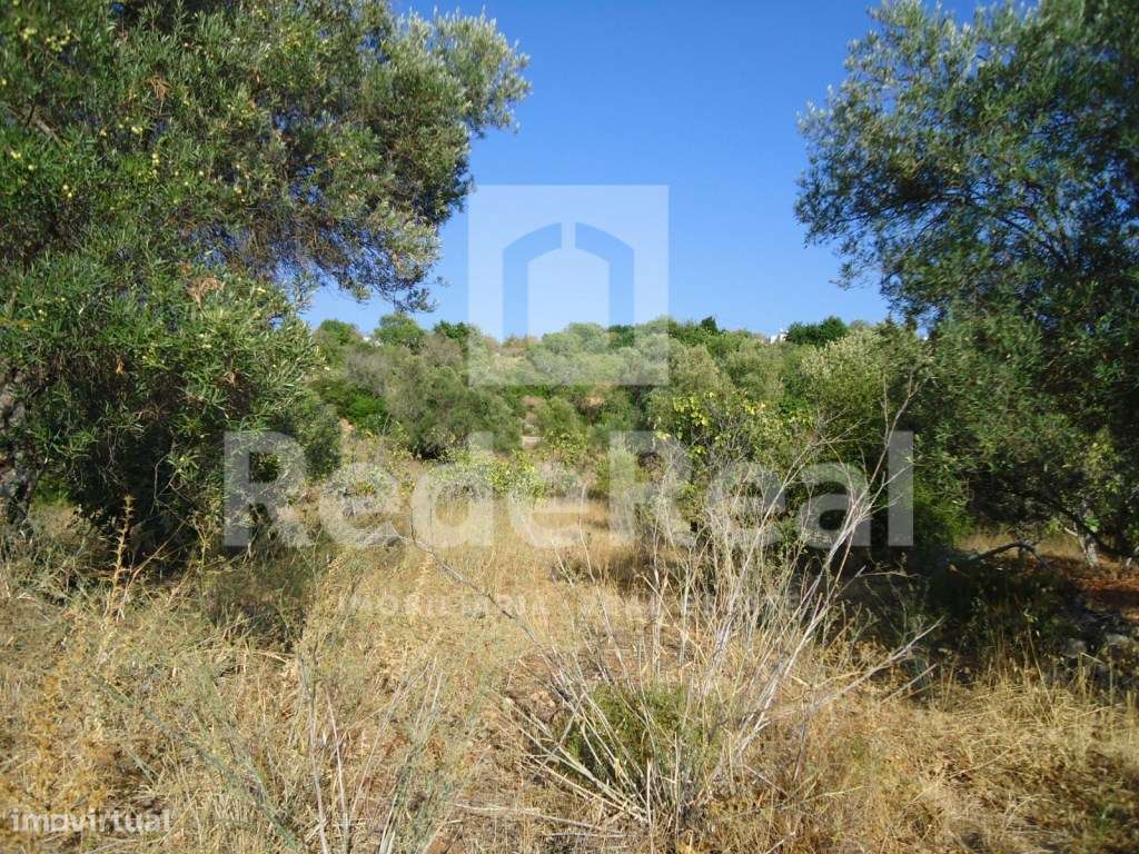 Terreno rústico, Loulé - Grande imagem: 3/7