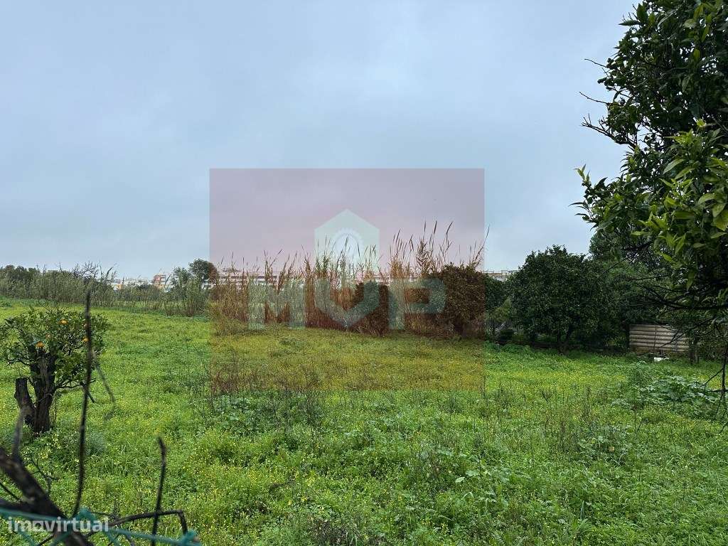 Terreno localizado em espaço urbanizável, Quelfes-5