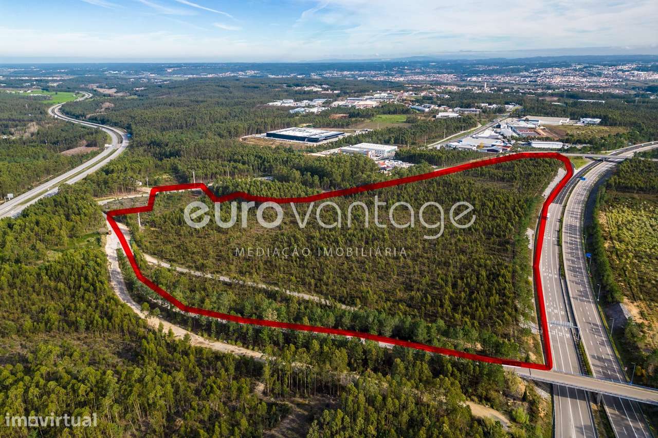 TERRENO PARA INDÚSTRIA- BAROSA - LEIRIA - Grande imagem: 5/14