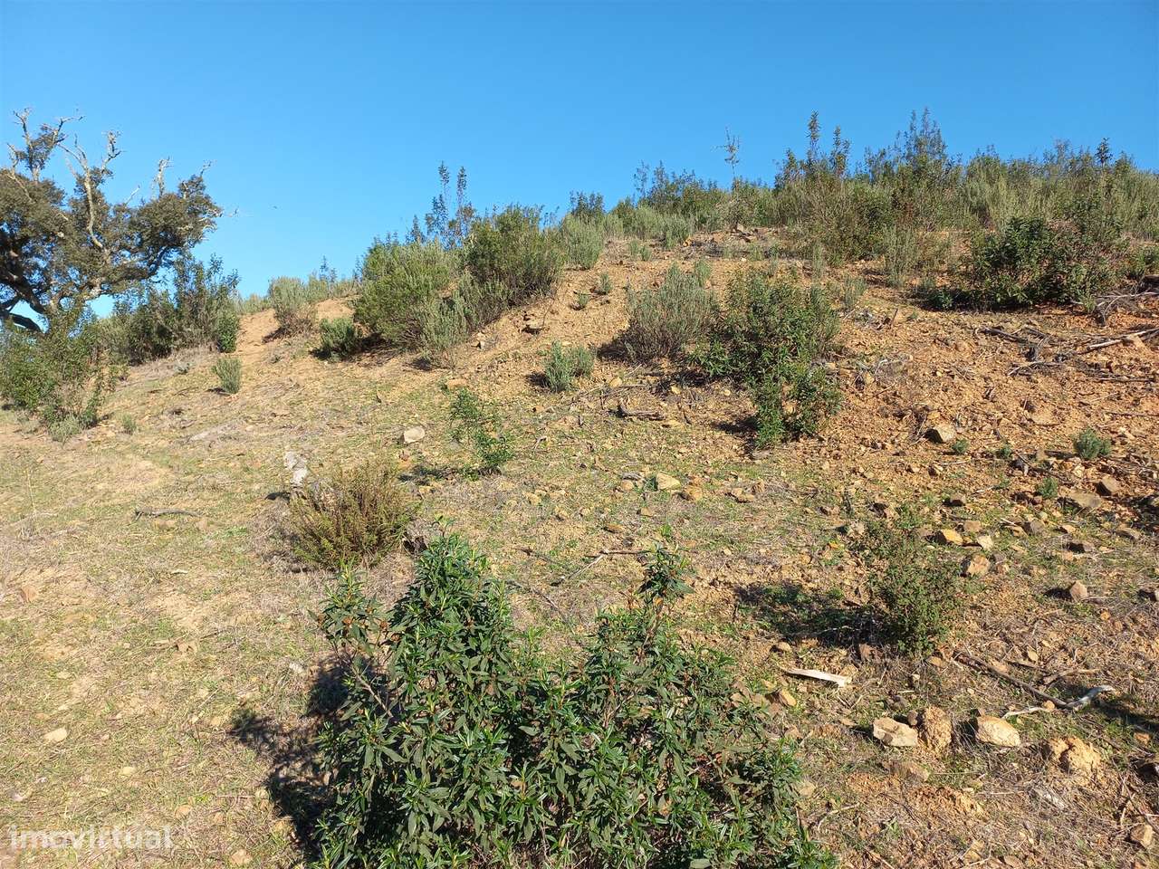 Terreno Rústico  Venda em Santa Clara-a-Nova e Gomes Aires,Almodôvar-8