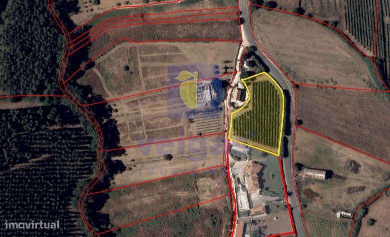 Terreno Ventosa - Grande imagem: 2/24