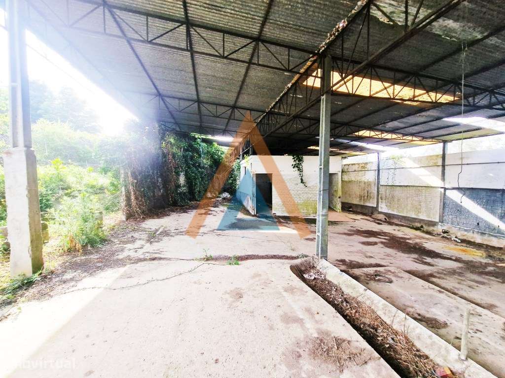 Maravilhosa quinta com casa e terreno-26