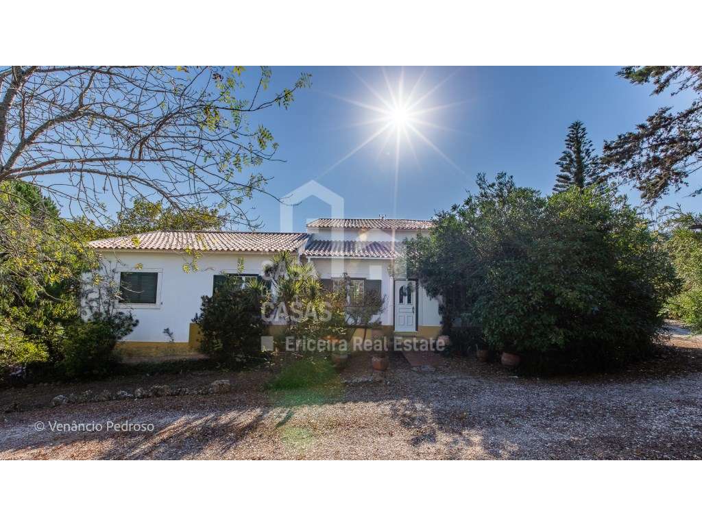 Moradia T4 - Mafra, A Casa das Casas - Grande imagem: 5/36