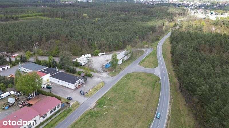 Hotel w Rzepinie - Pełny obrazek: 5/17